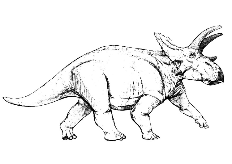 Coloriage tricÃ©ratops