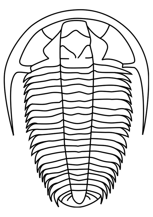 Coloriage trilobite