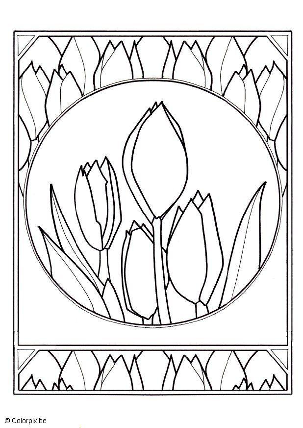 Coloriage tulipes