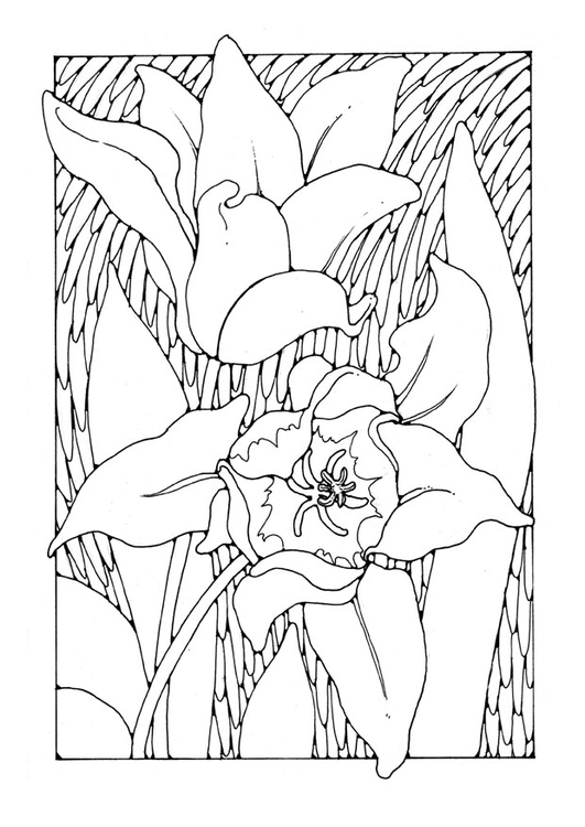 Coloriage tulipes