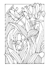 Coloriage tulipes