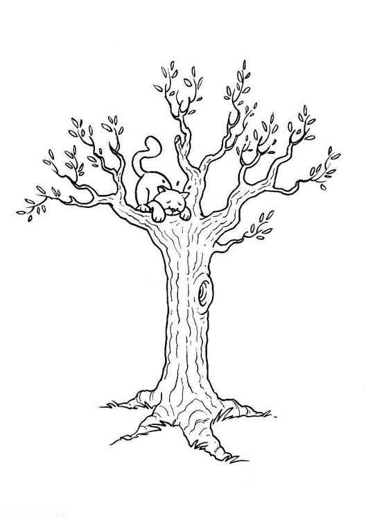 Coloriage un chat dans l'arbre