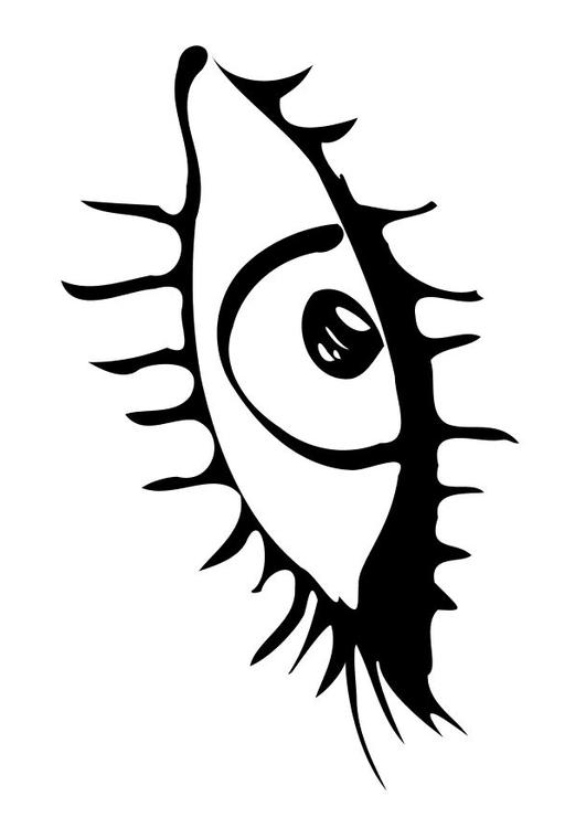 un oeil