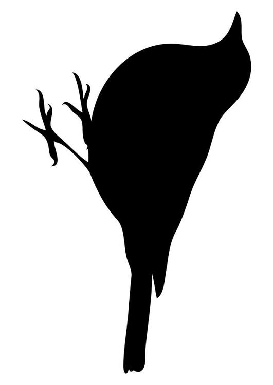 un oiseau