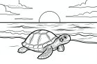 Une tortue sur la plage au coucher du soleil
