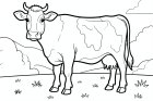 une vache dans le pré
