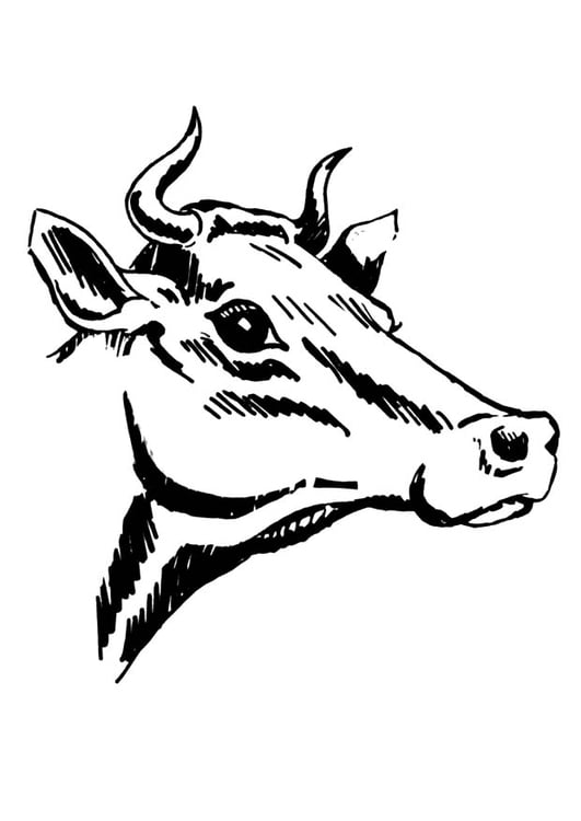 Coloriage vache avec cornes