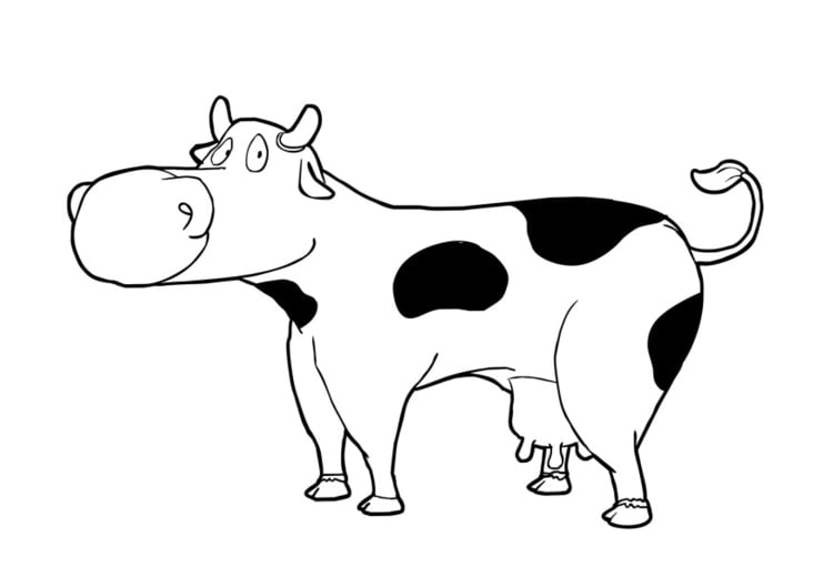 Coloriage vache