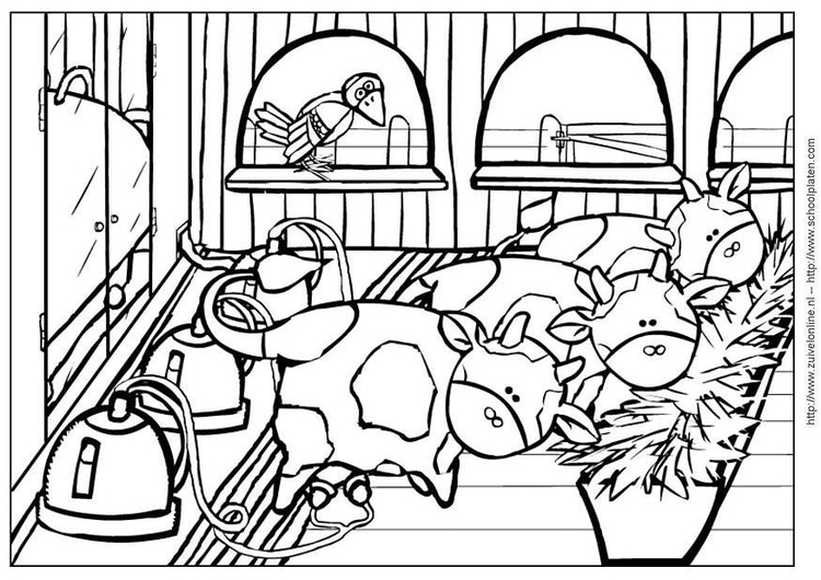 Coloriage vache