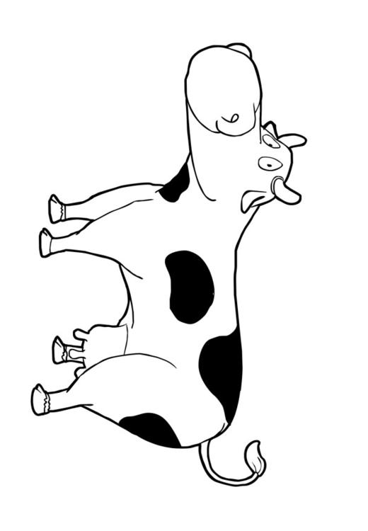 vache