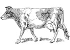 Coloriages vache