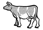 Vache