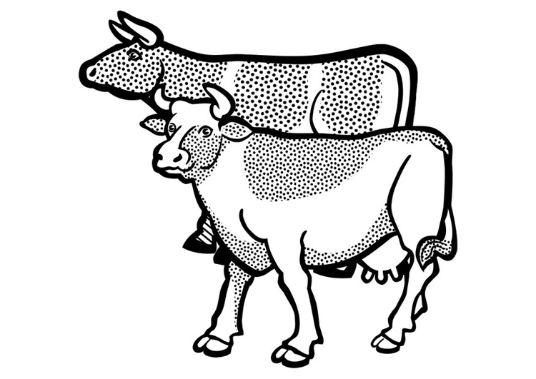 Coloriage Vaches