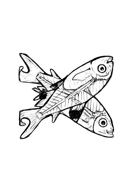 x-x-ray-fish