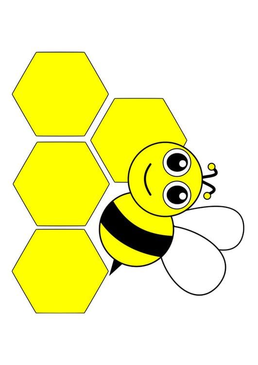 abeille - avant