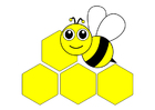 Images abeille - avant