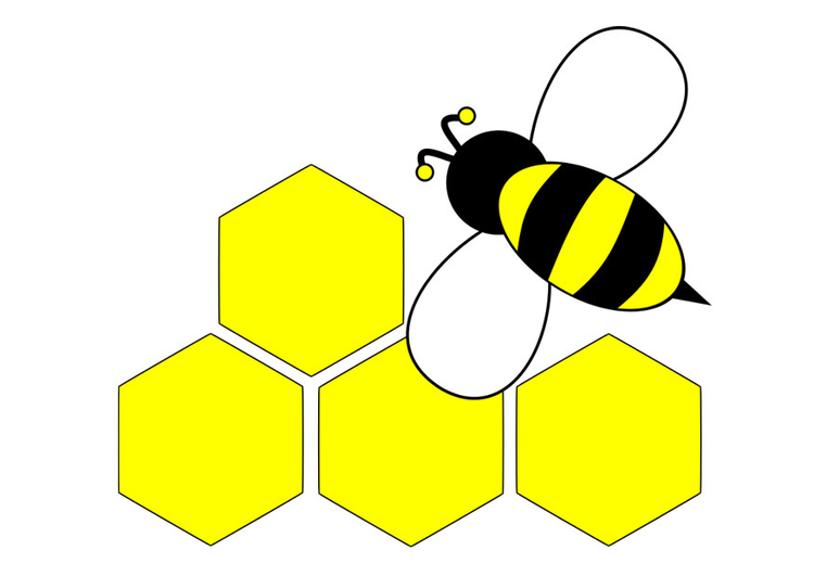 Image abeille - derriÃ¨re