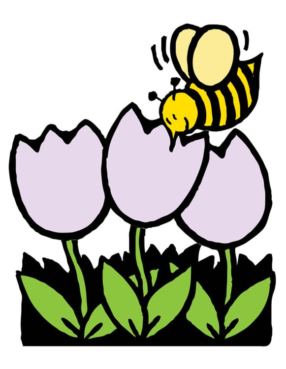 Image abeille et tulipes