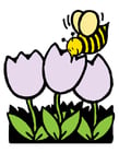 Images abeille et tulipes