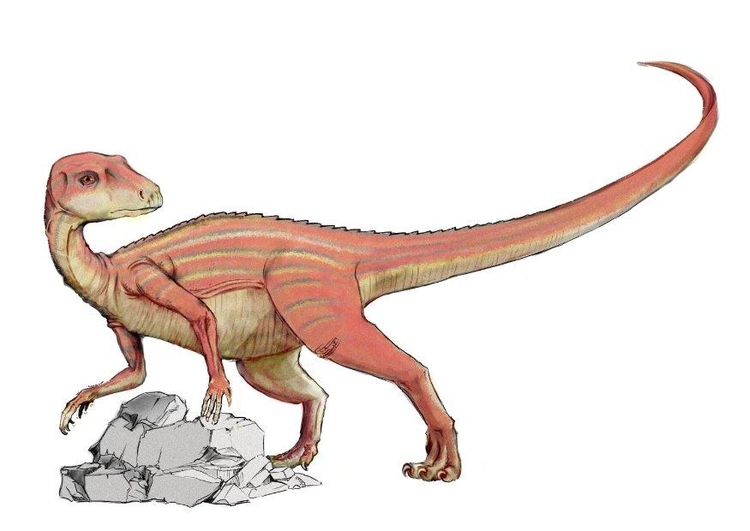 Image abrictosaurus