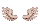 ailes