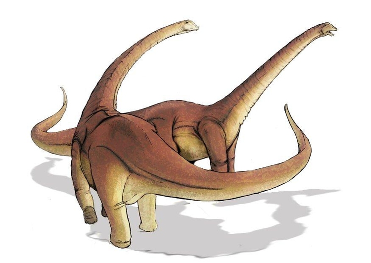 Image alamosaurus