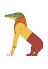 Image ammit