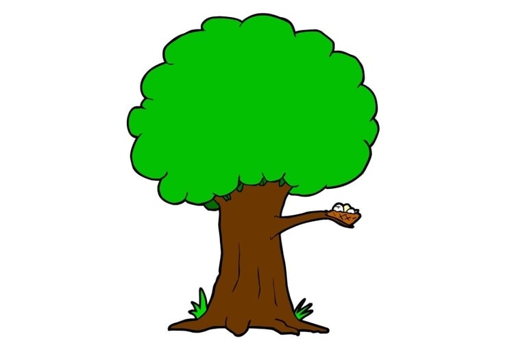 Image arbre