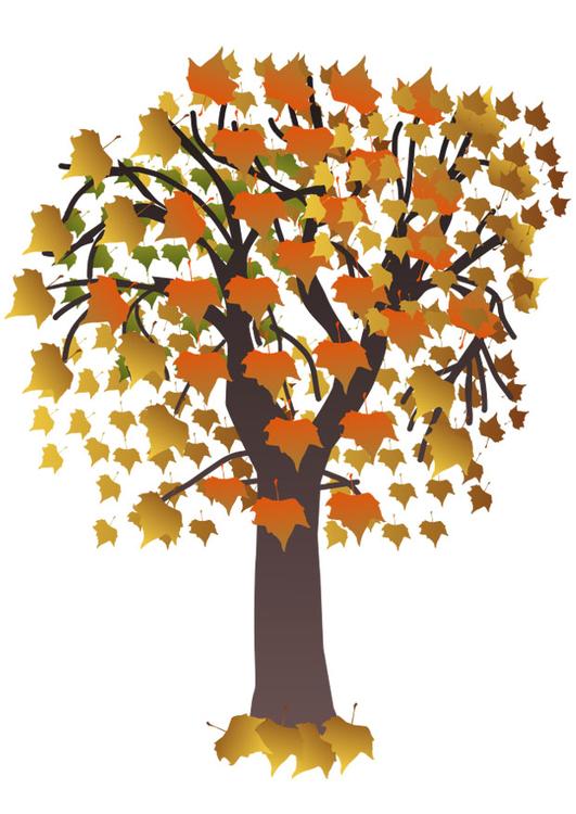 arbre en automne