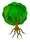 Image arbre