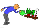 image arroser les plantes