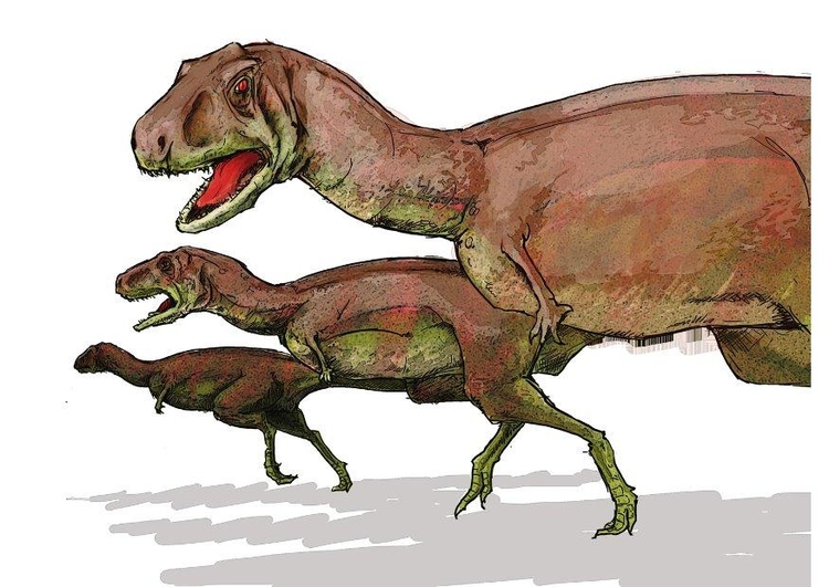 Image aucasaurus