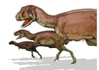 Images aucasaurus