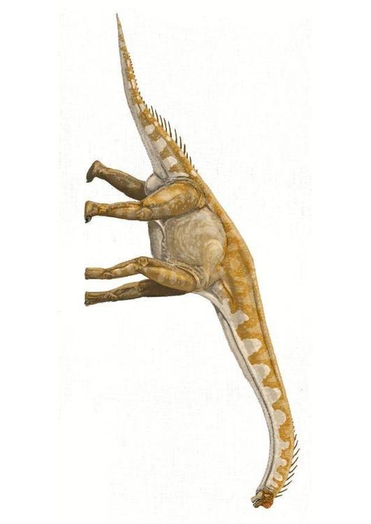 brachiosaure