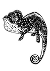 Coloriage caméléon
