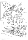 Coloriage caméléon