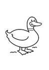 Coloriage canard