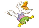 canard