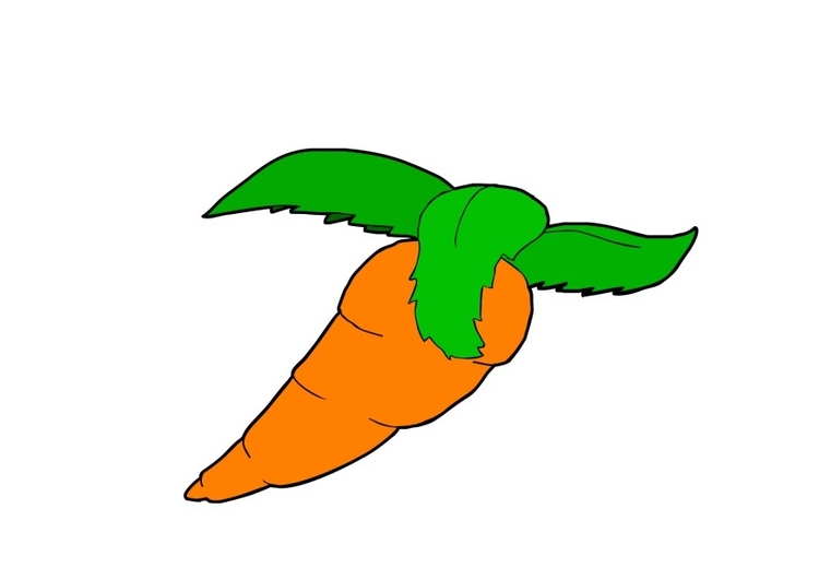 Image carotte