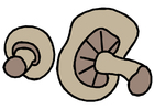 image champignons