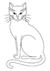 Coloriage chat