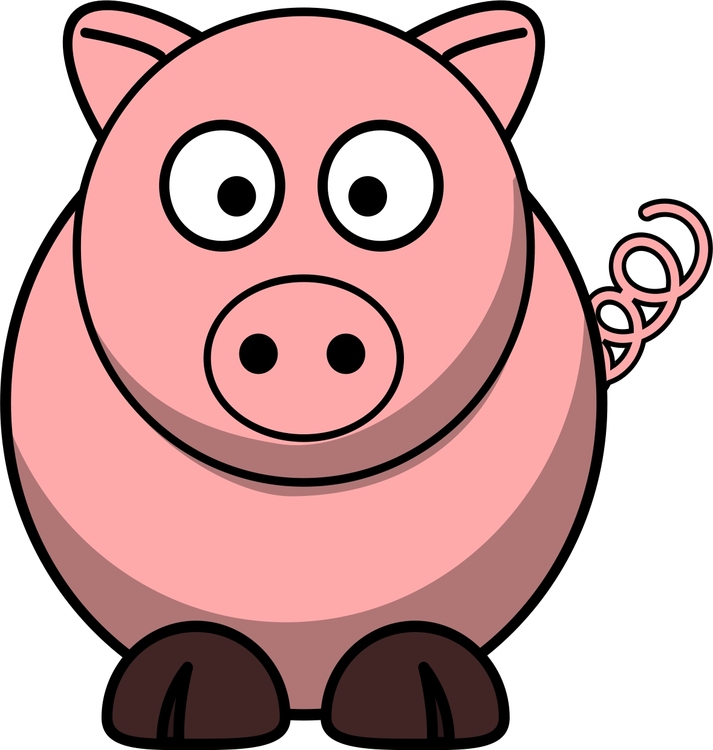 Image cochon