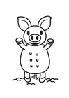 Coloriage cochon