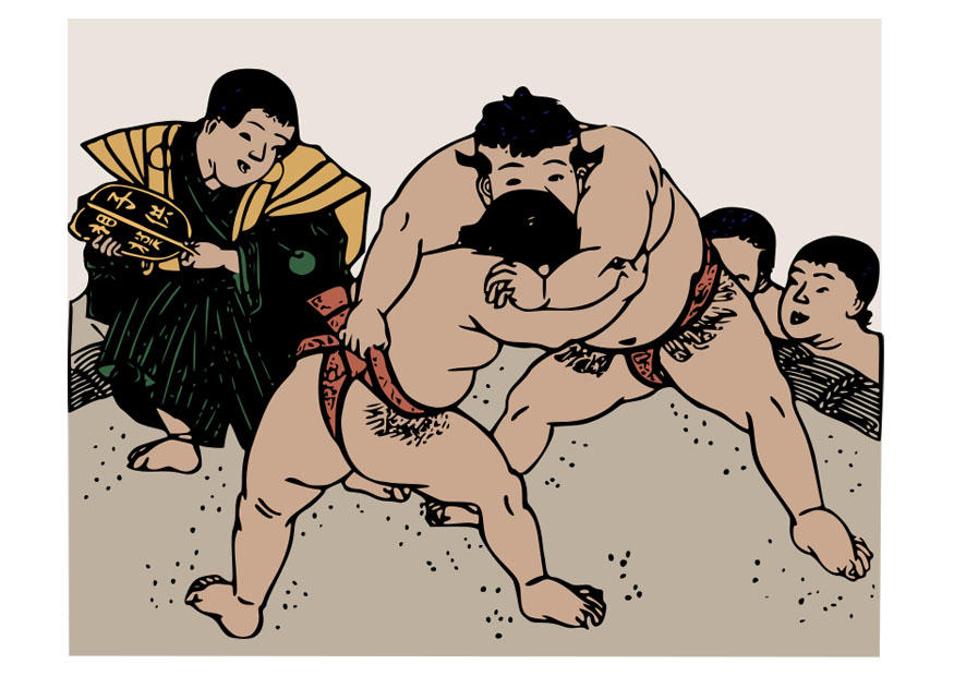 Image combat de sumo