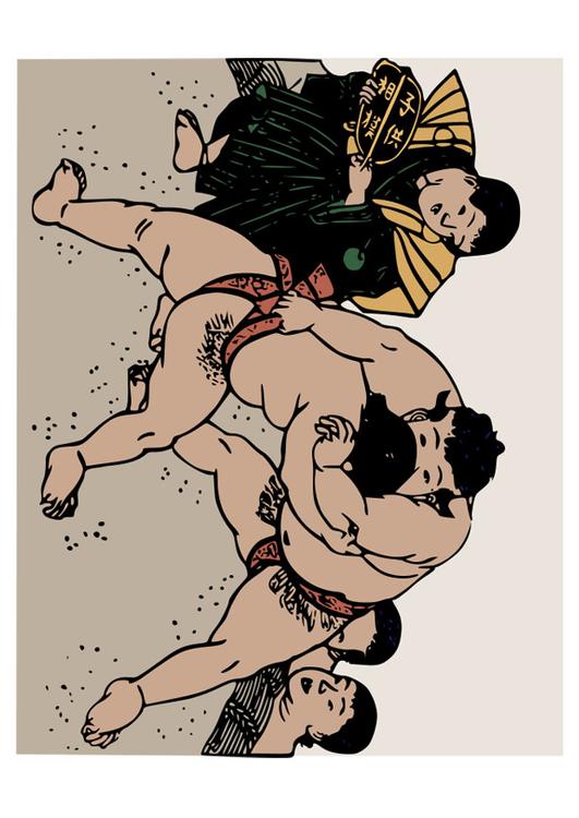 combat de sumo