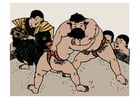 Images combat de sumo