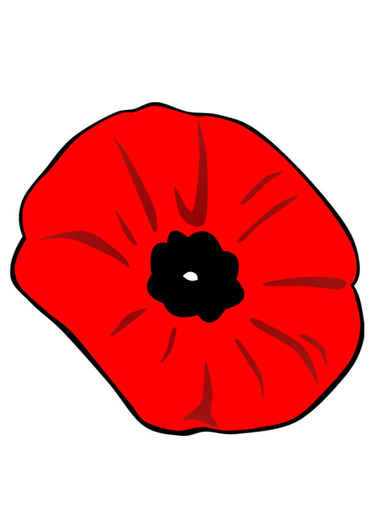 Image coquelicot