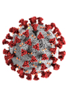Image coronavirus