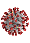 Images coronavirus