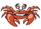 Image crabe